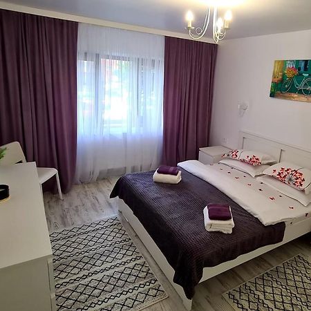 דירות סוסאבה La Fluturi Apartament מראה חיצוני תמונה