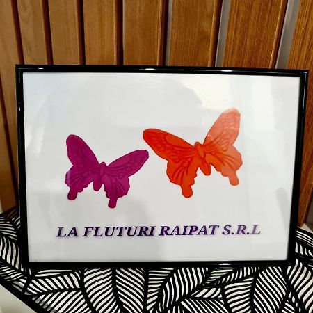 דירות סוסאבה La Fluturi Apartament מראה חיצוני תמונה