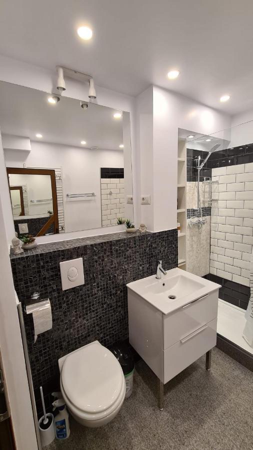 דירות סוסאבה La Fluturi Apartament מראה חיצוני תמונה