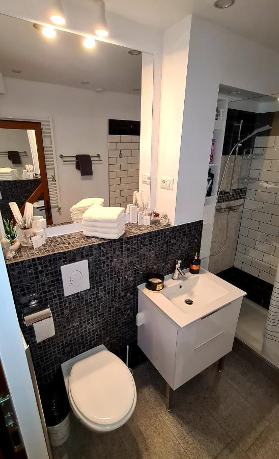דירות סוסאבה La Fluturi Apartament מראה חיצוני תמונה