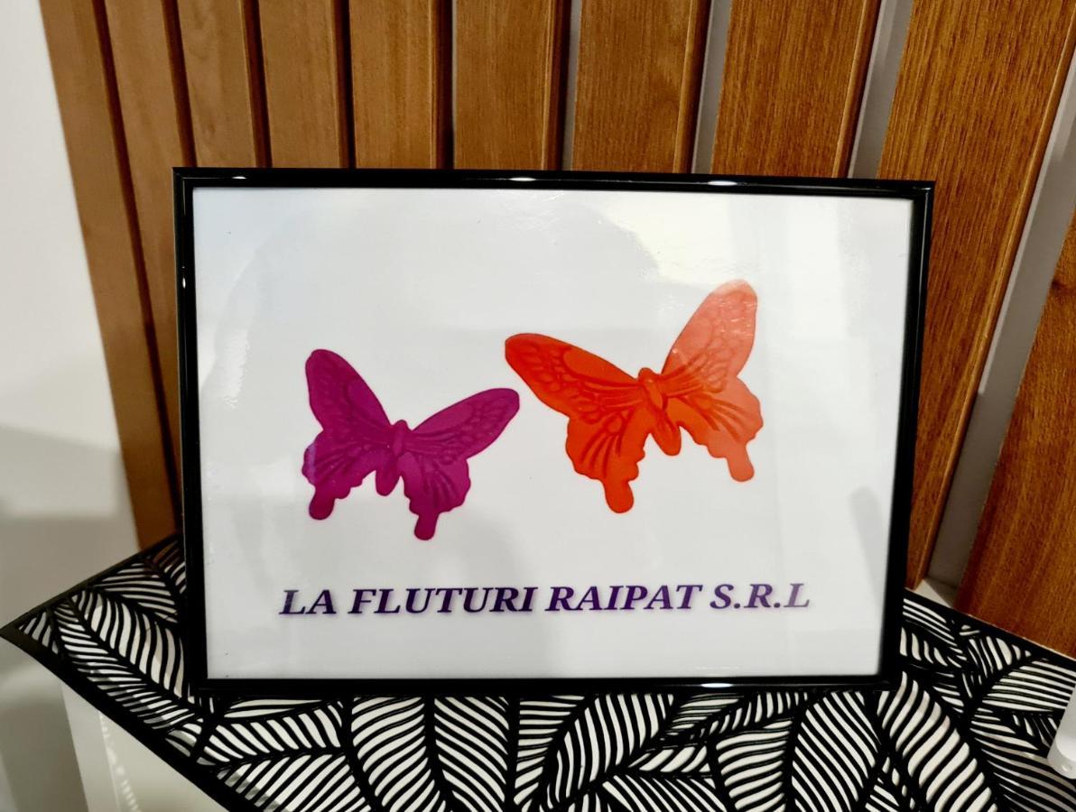 דירות סוסאבה La Fluturi Apartament מראה חיצוני תמונה